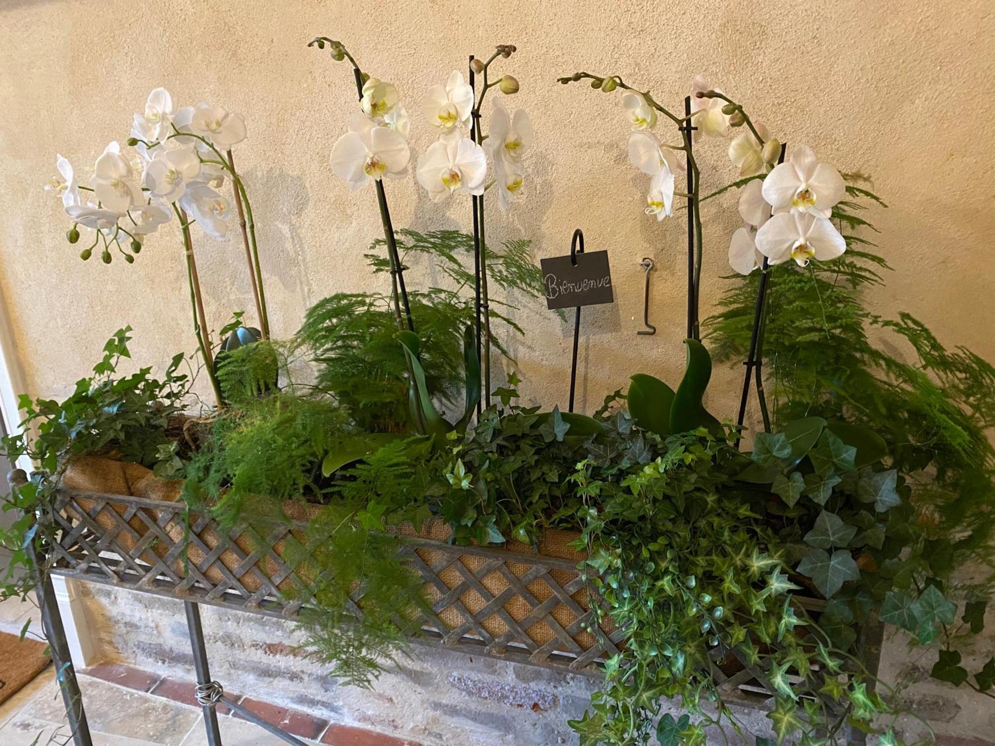Les Hortensias Canly Εξωτερικό φωτογραφία